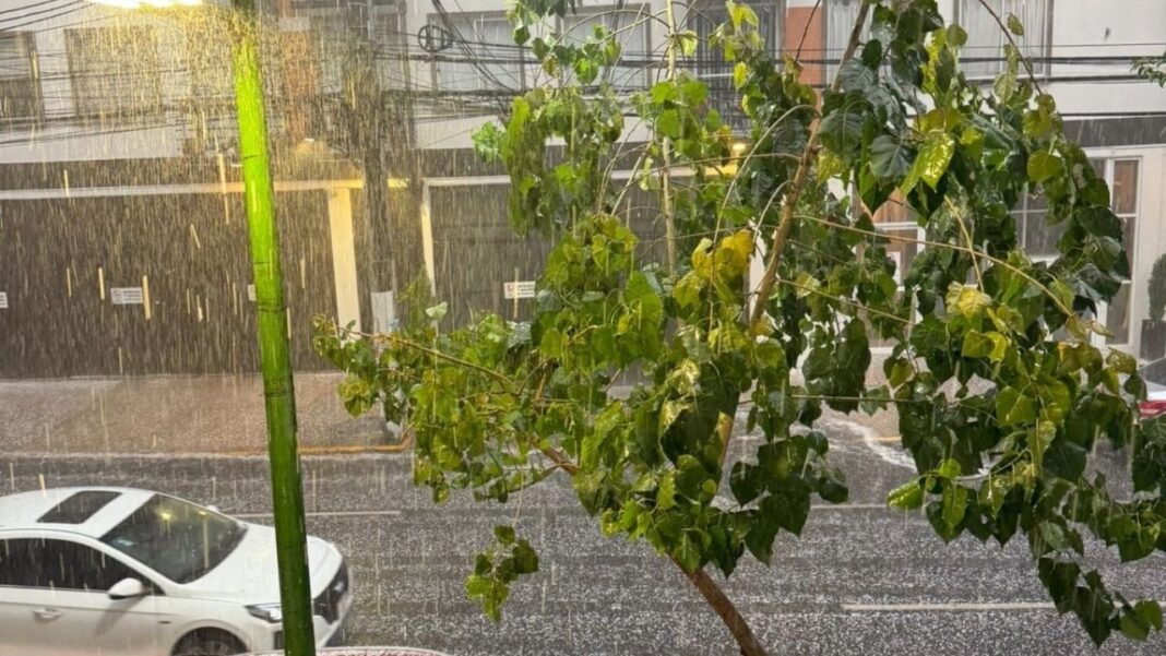 Alerta amarilla por granizada y lluvia intensa en Ciudad de México