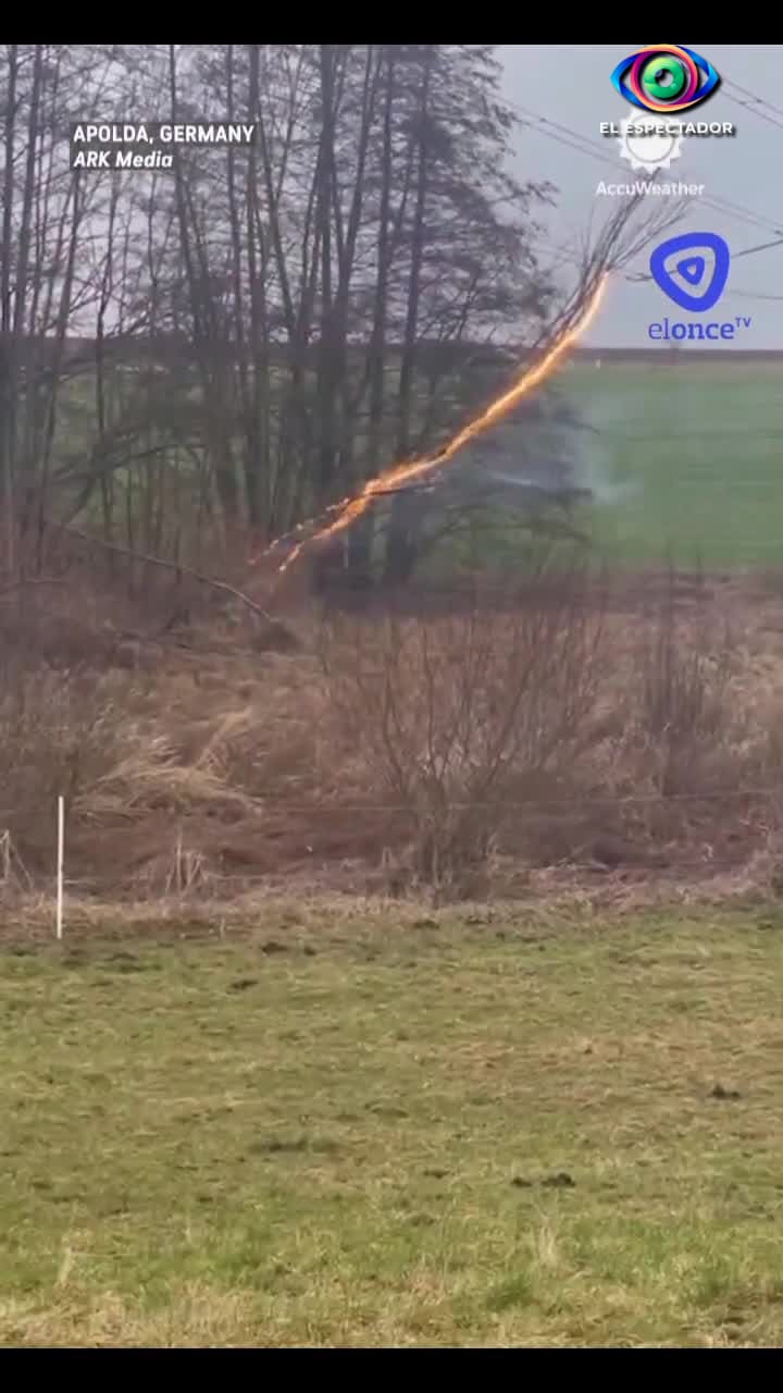 Árbol se incendia tras caer sobre cable de alta tensión en Alemania