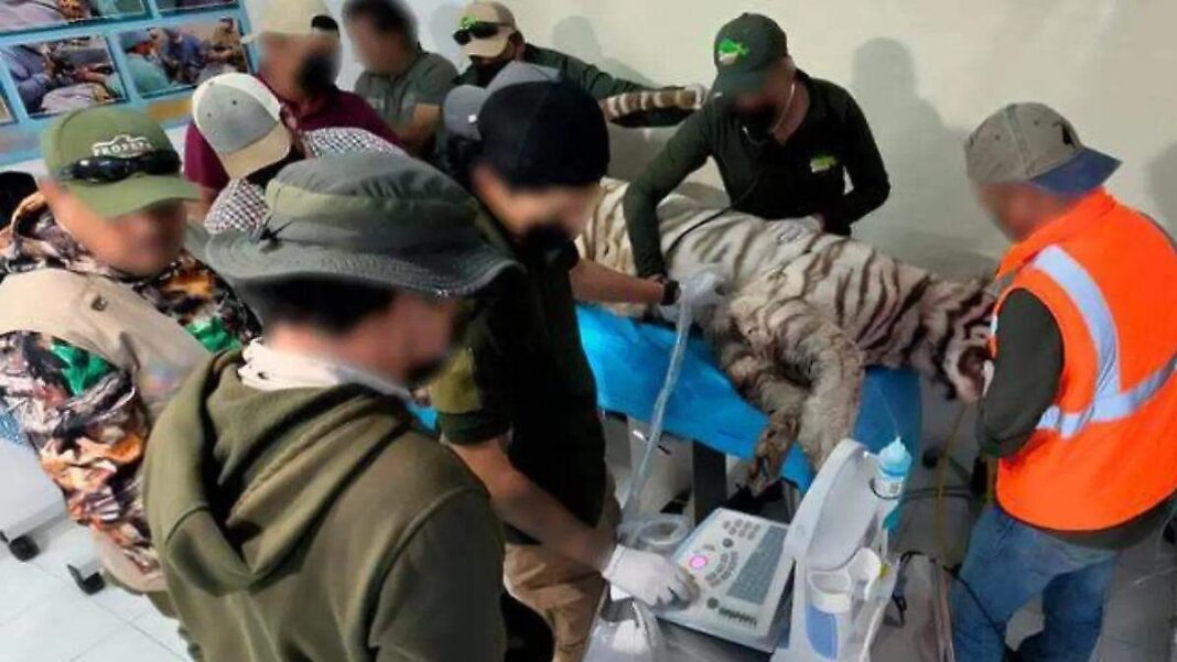 Especialistas advierten insuficiencia de armas calibre 22 y 38
