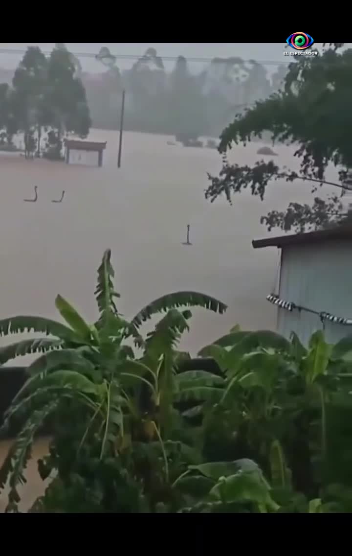 Escapan cerca de 900 serpientes en China tras lluvias fuertes