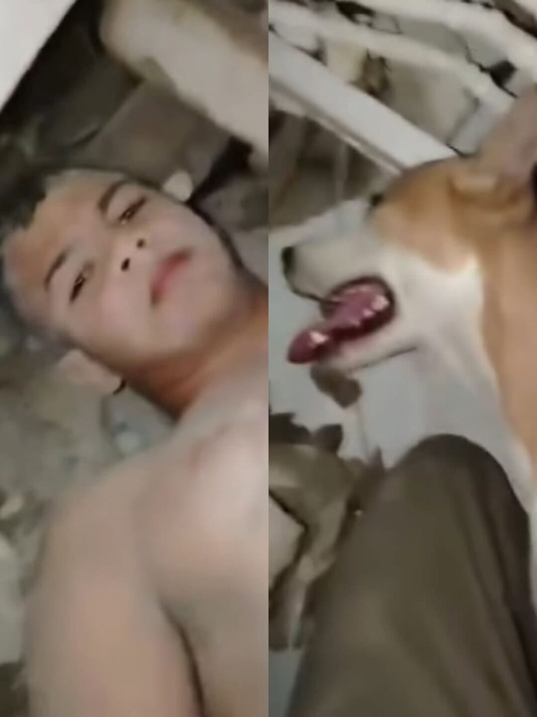 Perro ayuda a sobreviviente atrapado entre escombros en Venezuela