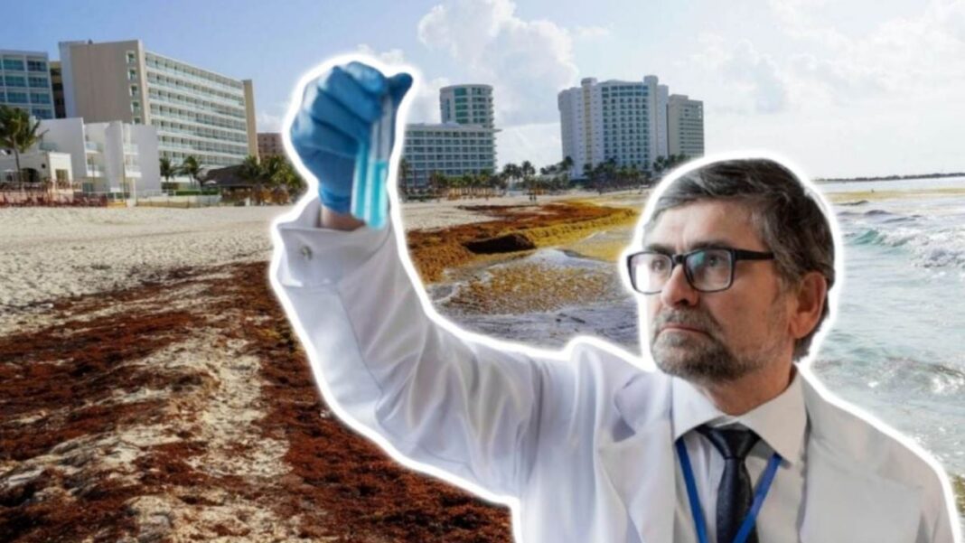 Quintana Roo impulsa economía circular con transformación del sargazo