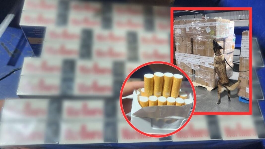 Aduanas detectan más de dos millones de cigarrillos apócrifos en AICM