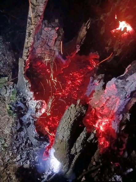 Misterioso fuego en San Andrés Tuxtla genera especulaciones