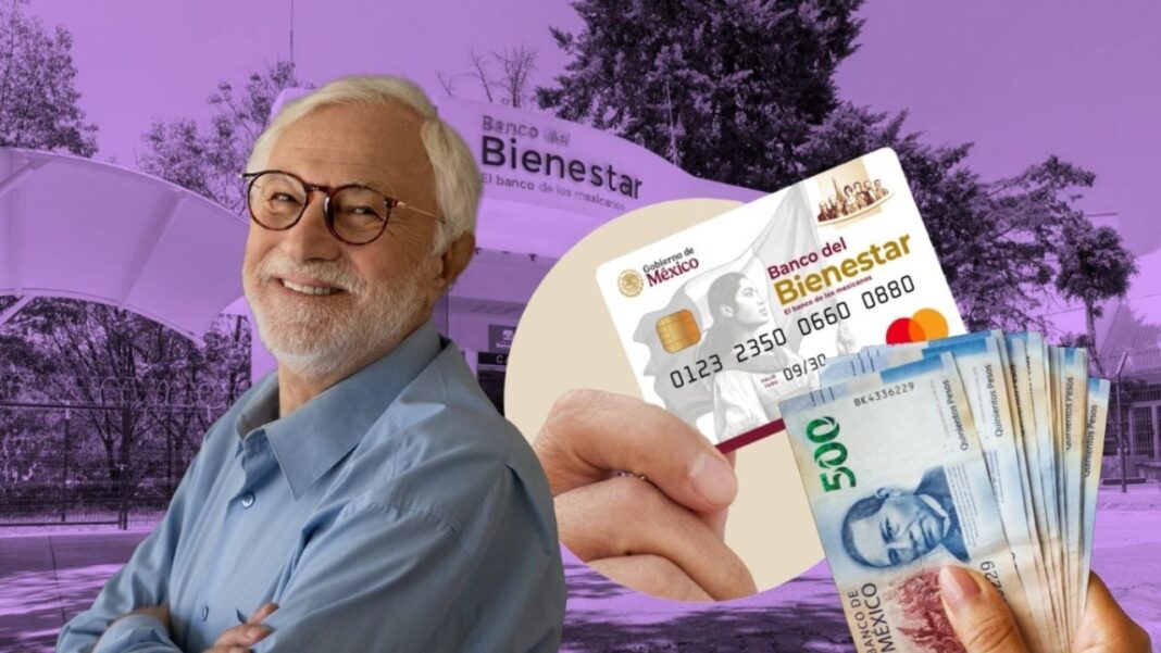 Pensión Bienestar entrega 12 mil 800 pesos a adultos mayores en 2026
