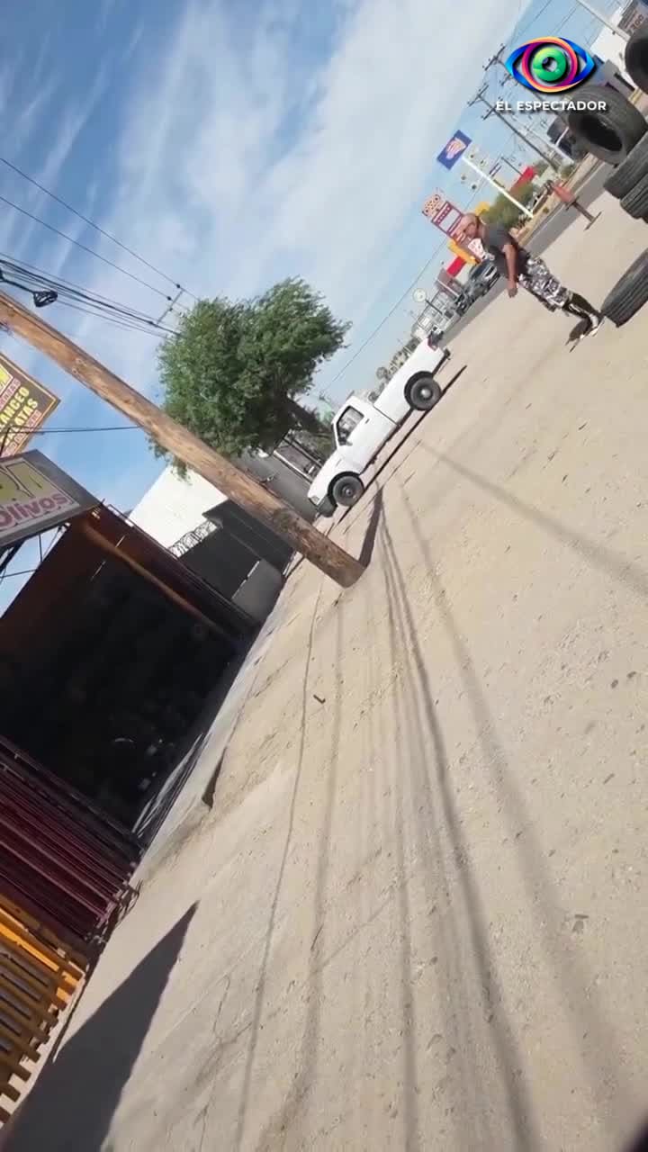Perro ayuda en vulcanizadora y se vuelve el más tierno empleado