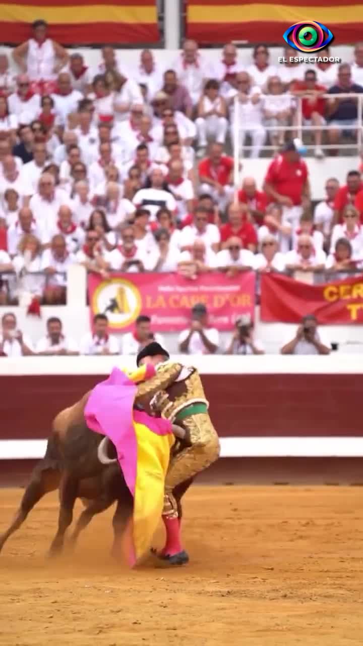Torero Clemente sufre fuerte embestida en corrida de Dax, Francia