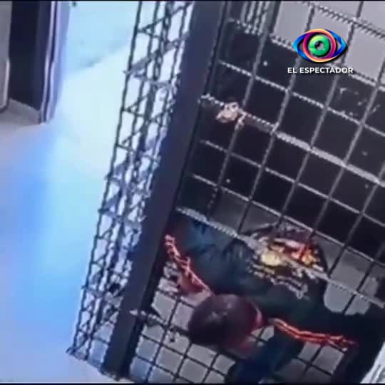Detenido en Brasil se escapa al deslizarse entre los barrotes