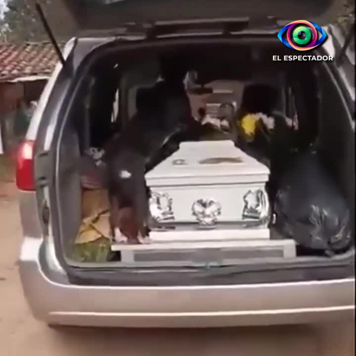 Lealtad de un perro conmueve al acompañar ataúd en redes