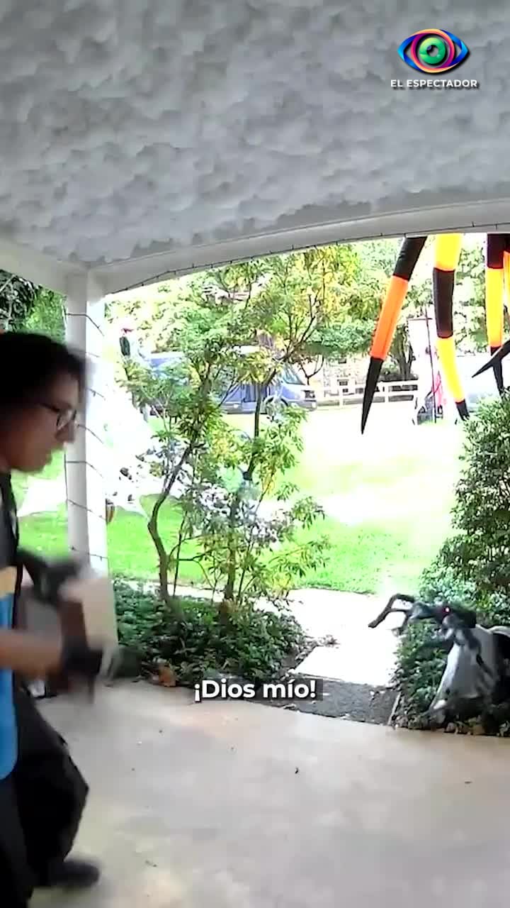 Repartidor de Amazon se asusta con araña animatrónica de Hallo